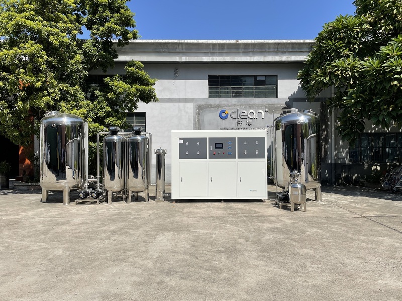 5-6T純化水設(shè)備.JPG