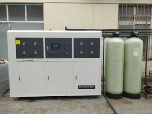 1吨超纯水设备Q-1000SE-1.0